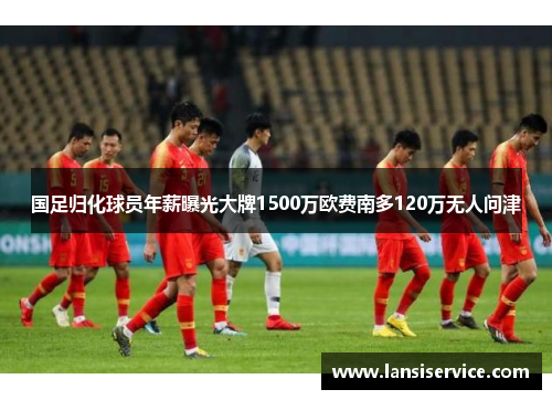 国足归化球员年薪曝光大牌1500万欧费南多120万无人问津 国足归化球员年薪曝光大牌1500万欧费南多120万无人问津